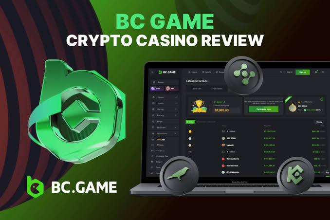 A Comprehensive Guide to BC.Game Platform