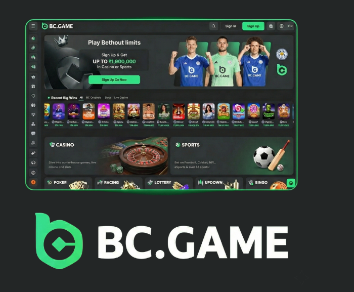 Unlock the Fun A Guide to BC.Game Bonuses and Promo Codes